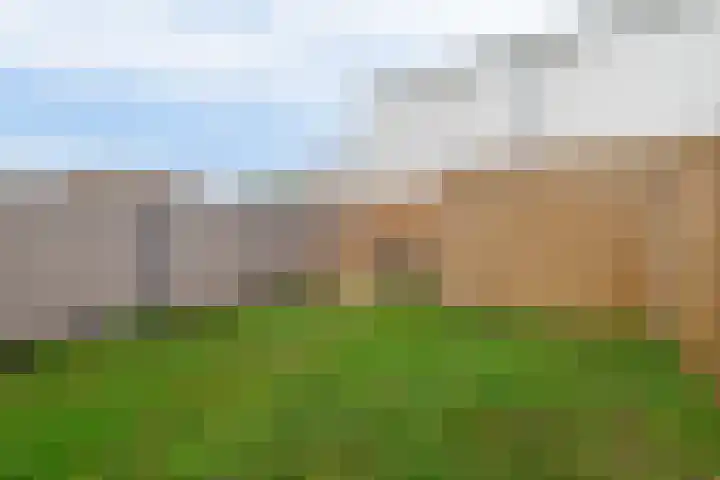 Grevelingstraat 72 Lisse thumbnail 26