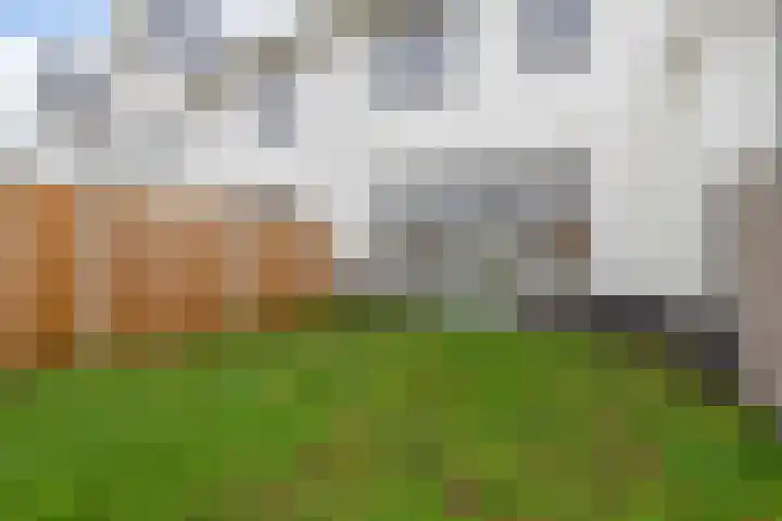 Grevelingstraat 72 Lisse thumbnail 28