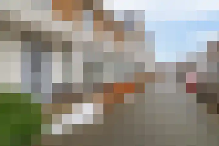 Grevelingstraat 72 Lisse thumbnail 37