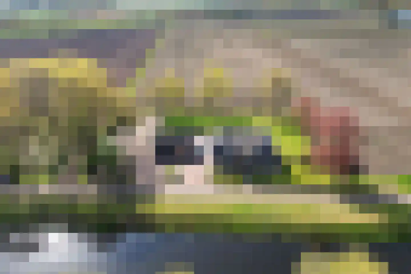 Grevenberg 3 en Wachtum