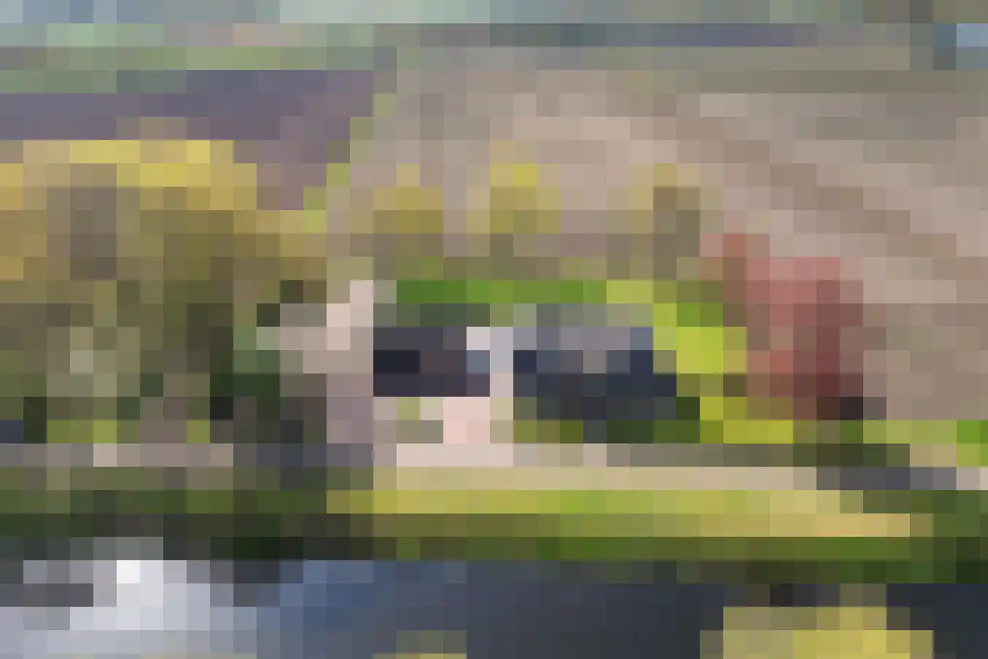 Grevenberg 3 Wachtum