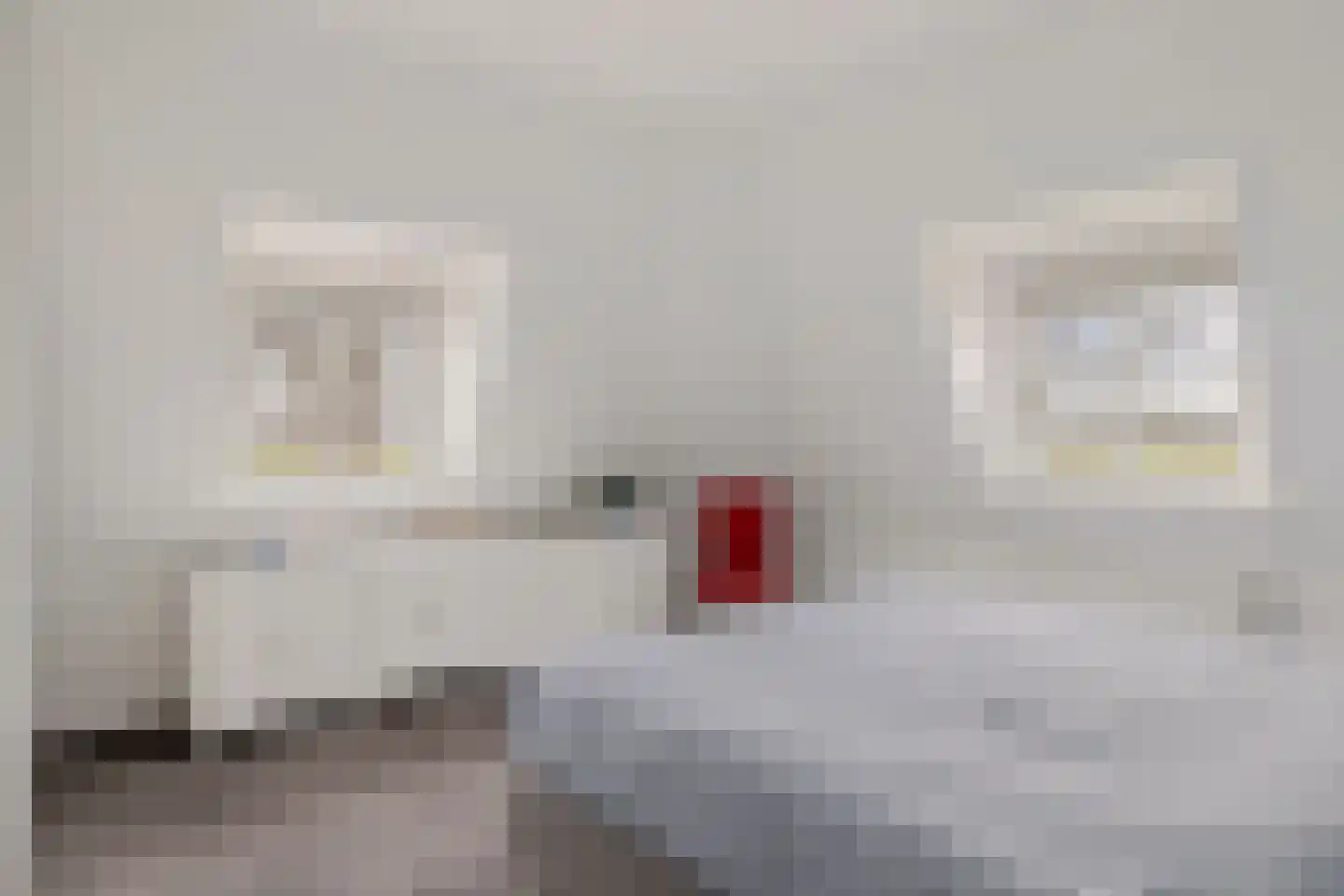Grevenberg 3 Wachtum thumbnail 28