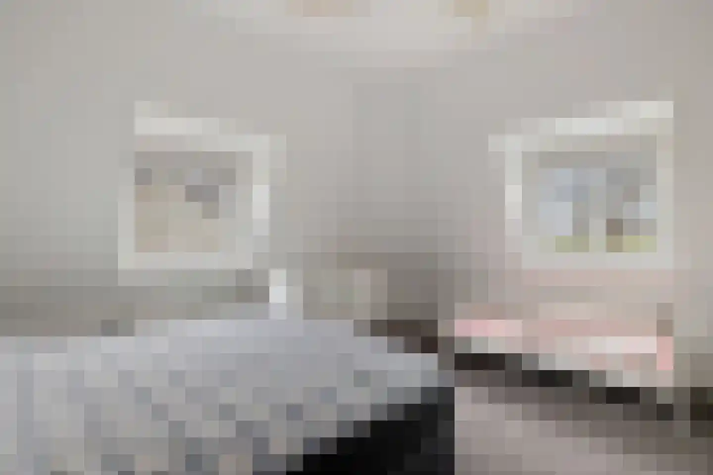 Grevenberg 3 Wachtum thumbnail 36