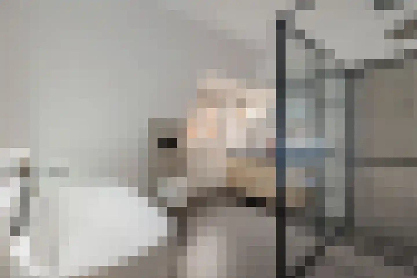 Grevenberg 3 Wachtum thumbnail 38
