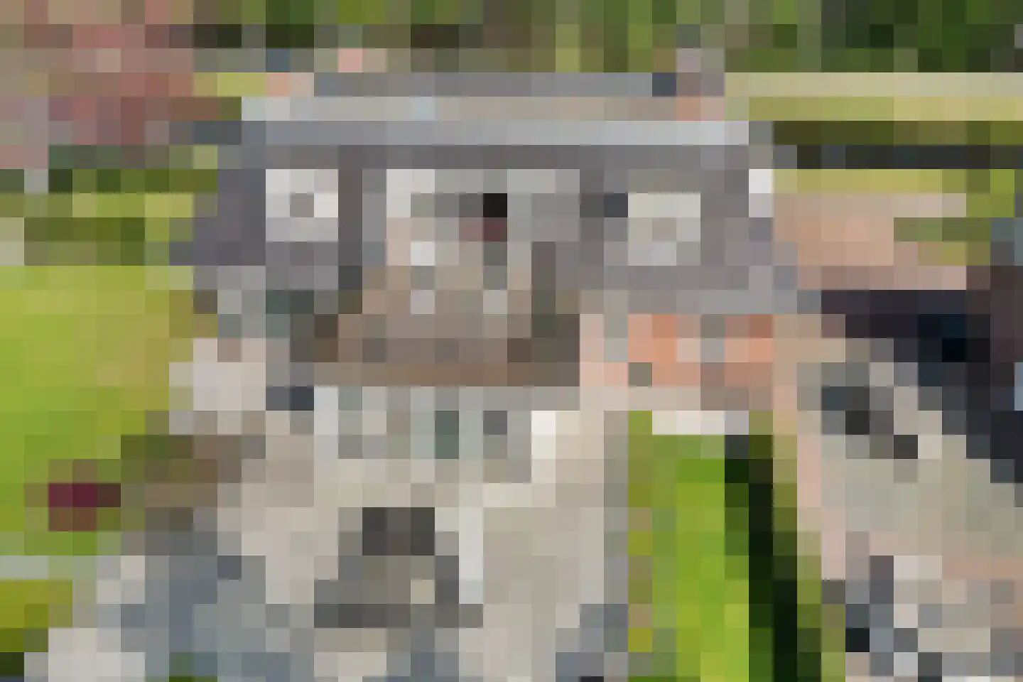 Grevenberg 3 Wachtum thumbnail 4