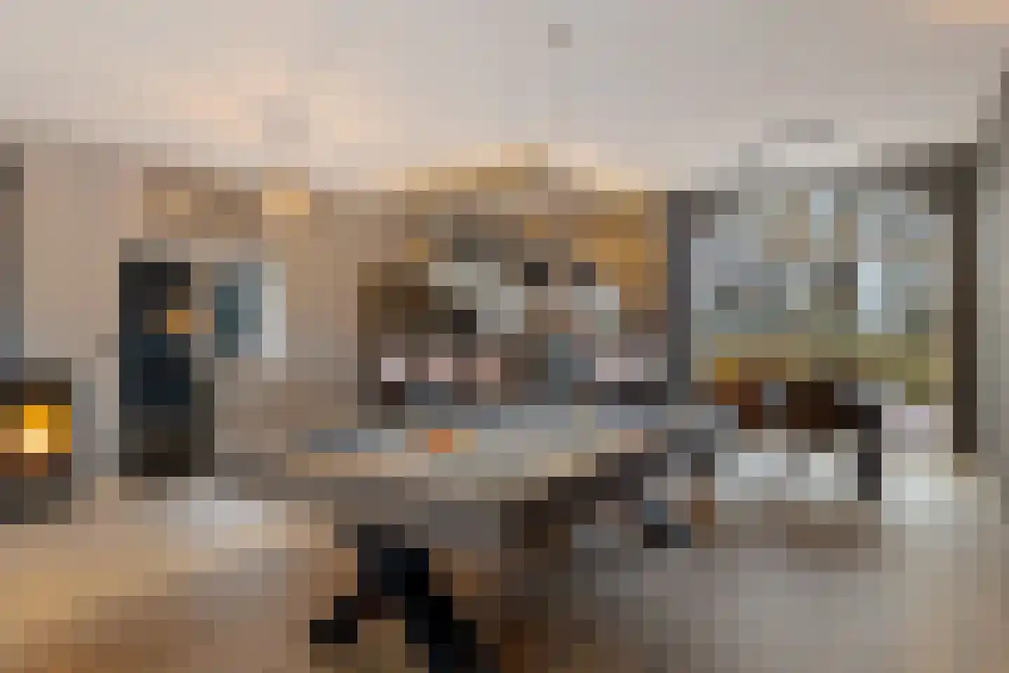 Grevenberg 3 Wachtum thumbnail 43