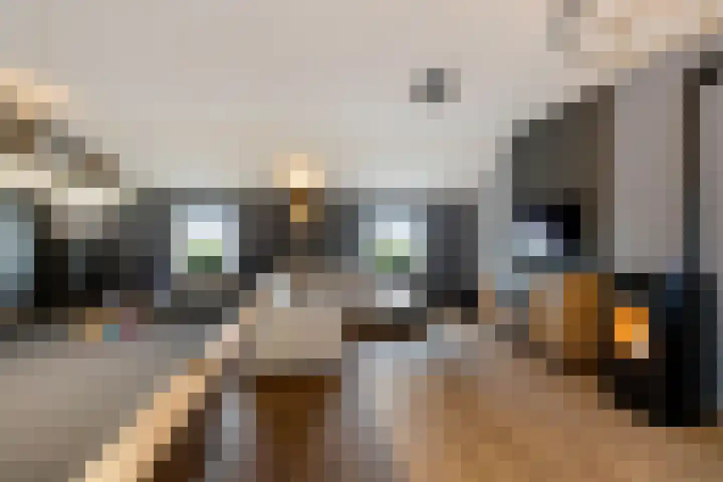 Grevenberg 3 Wachtum thumbnail 44