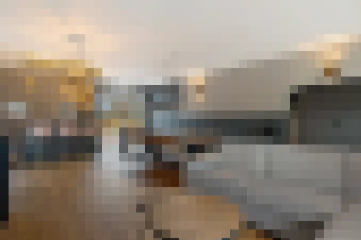 Grevenberg 3 Wachtum thumbnail 45