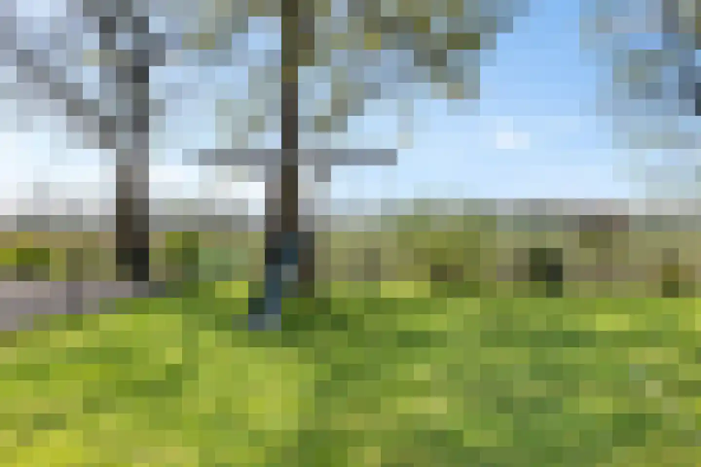 Grevenberg 3 Wachtum thumbnail 47