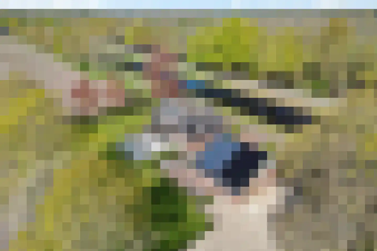 Grevenberg 3 Wachtum thumbnail 62
