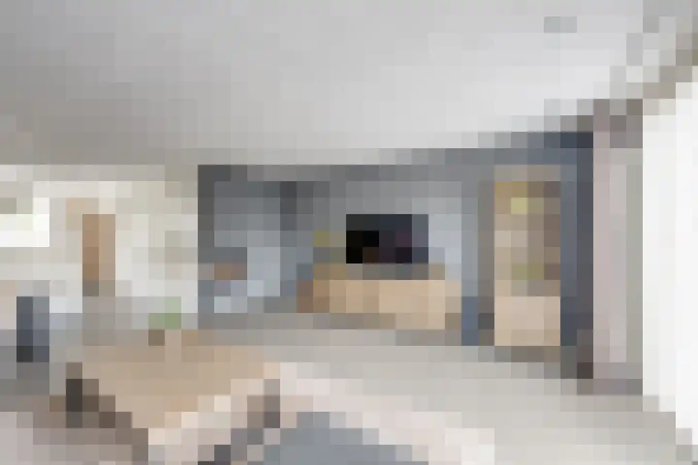 Grevenbichtstraat 111 Tilburg thumbnail 16