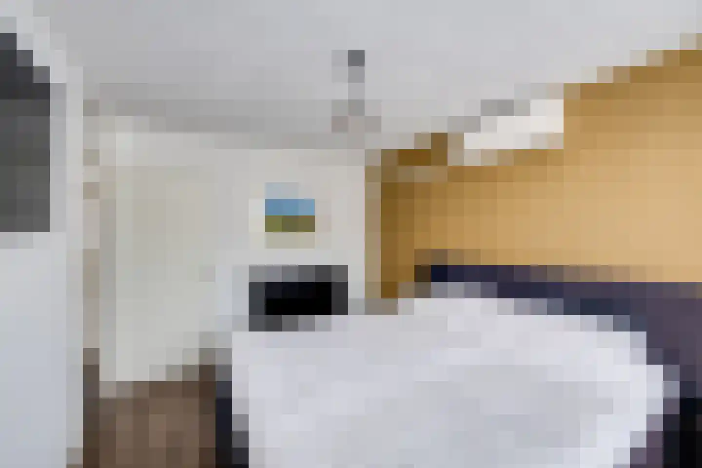 Grevenbichtstraat 111 Tilburg thumbnail 21