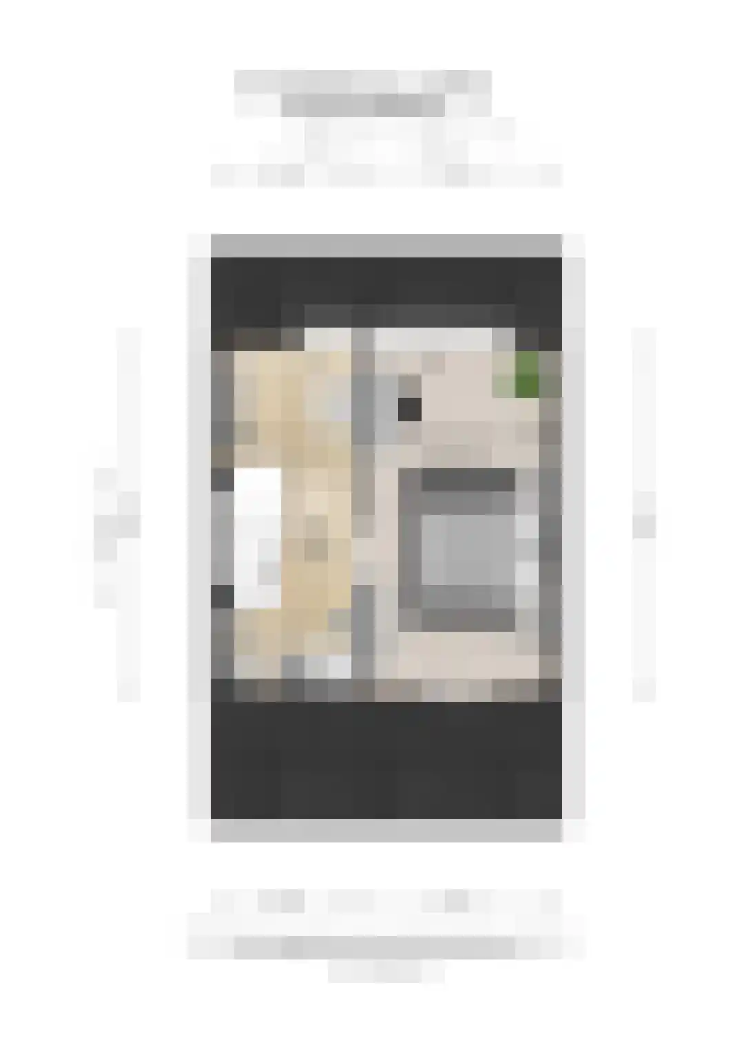 Grevenbichtstraat 111 Tilburg thumbnail 50
