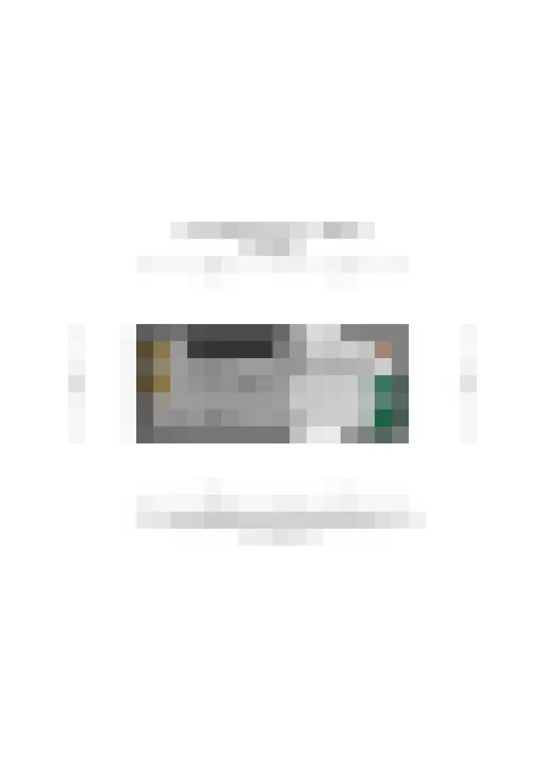 Grevenbichtstraat 111 Tilburg thumbnail 53