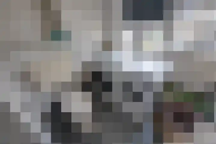 Grevenbichtstraat 38 Tilburg thumbnail 30