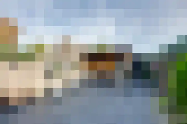 Grevenbichtstraat 38 Tilburg thumbnail 37