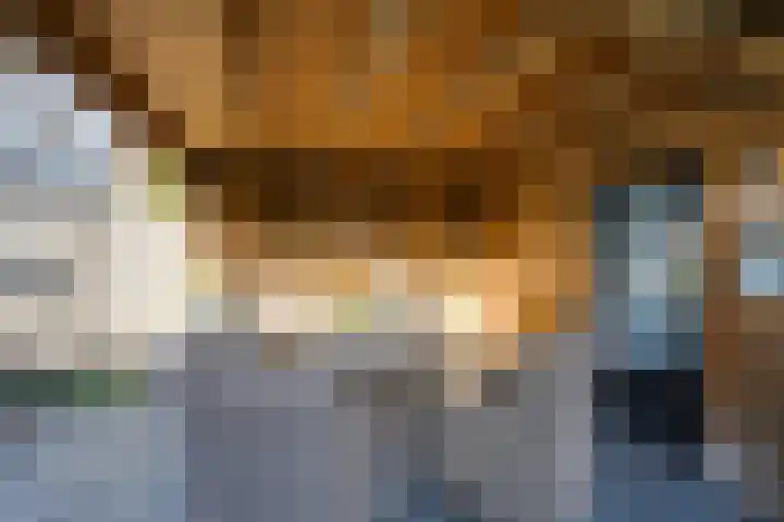 Grevenbichtstraat 38 Tilburg thumbnail 38