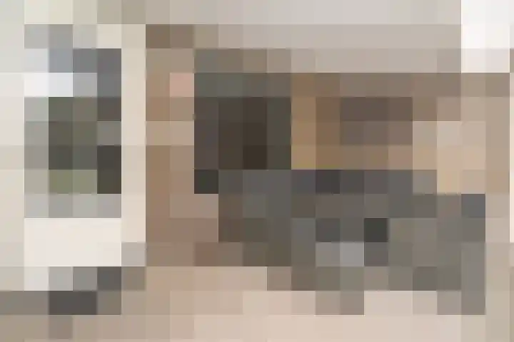 Grevenbichtstraat 52 Tilburg thumbnail 20