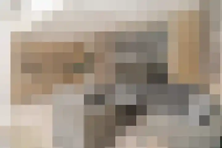 Grevenbichtstraat 52 Tilburg thumbnail 21