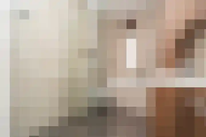 Grevenbichtstraat 52 Tilburg thumbnail 41