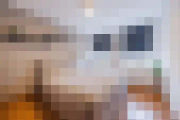 Grevenbichtstraat 66 Tilburg thumbnail 22