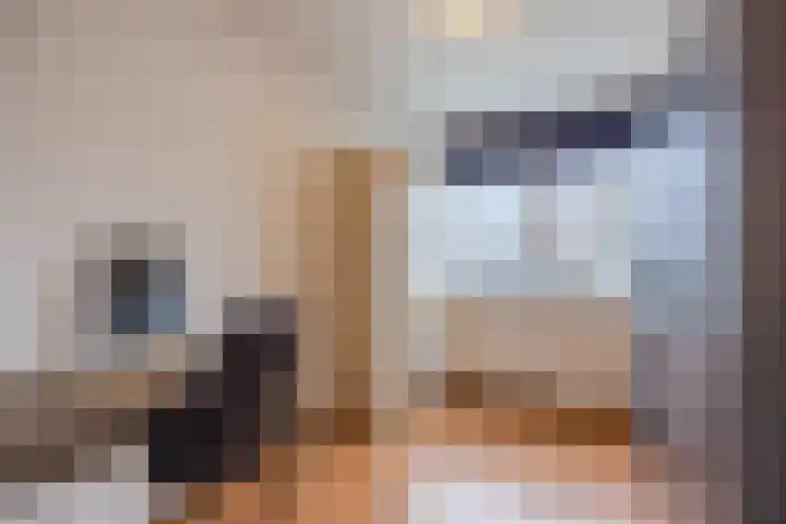 Grevenbichtstraat 66 Tilburg thumbnail 25