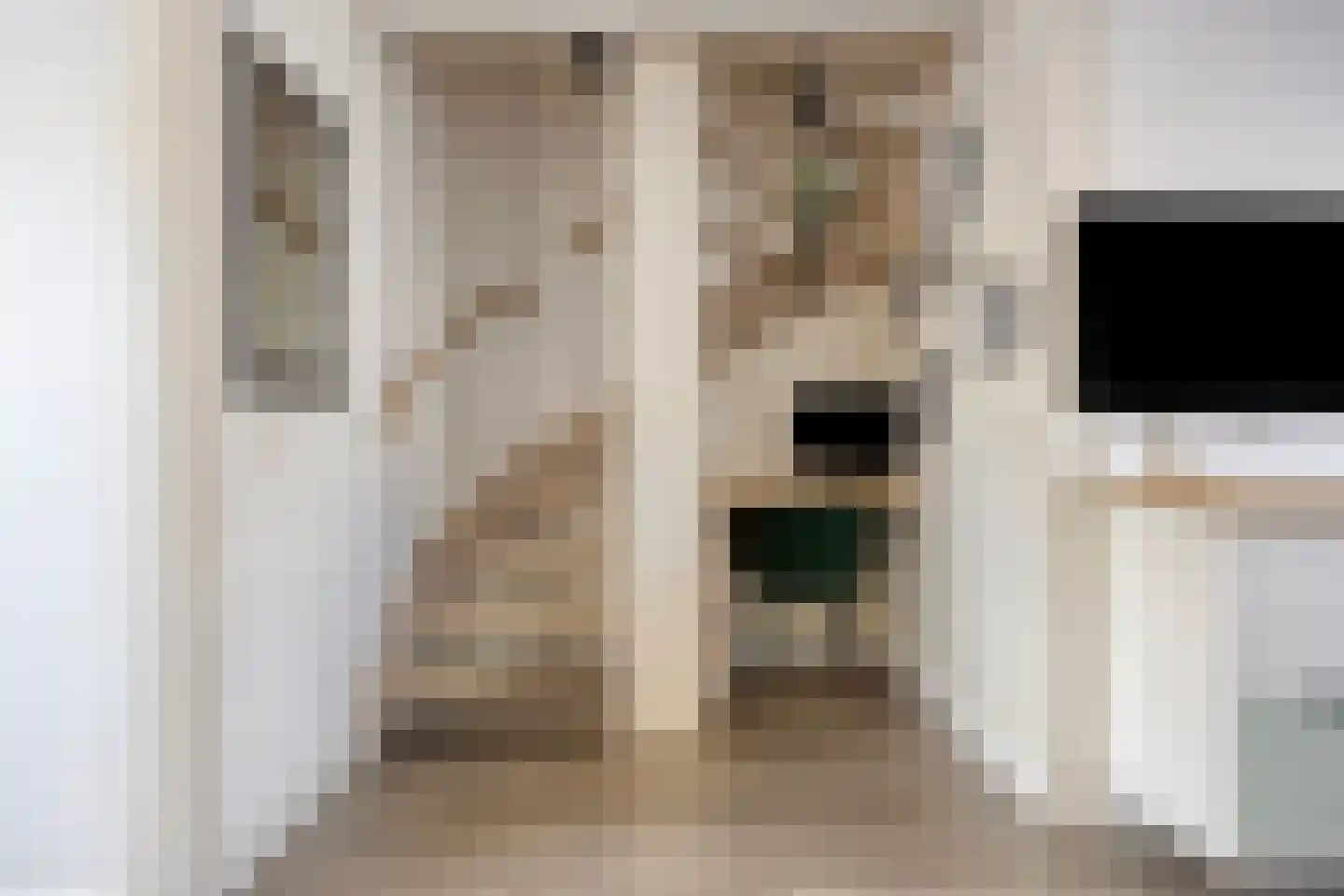 Grevenbichtstraat 93 Tilburg thumbnail 10