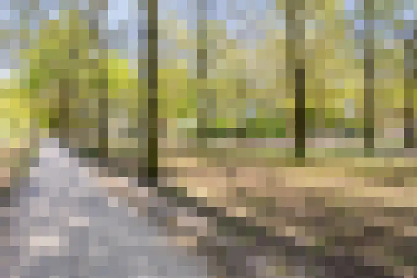 Grevenbichtstraat 93 Tilburg thumbnail 40