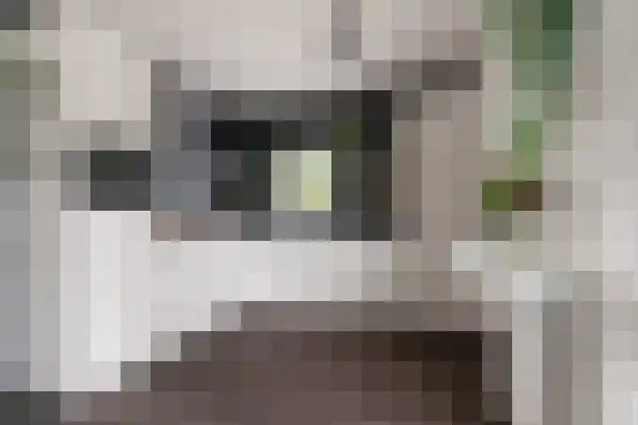 Grevendaal 10 Ottersum thumbnail 11