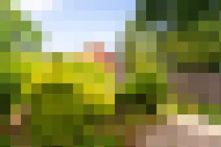 Grevengoedlaan 26 Doetinchem thumbnail 16