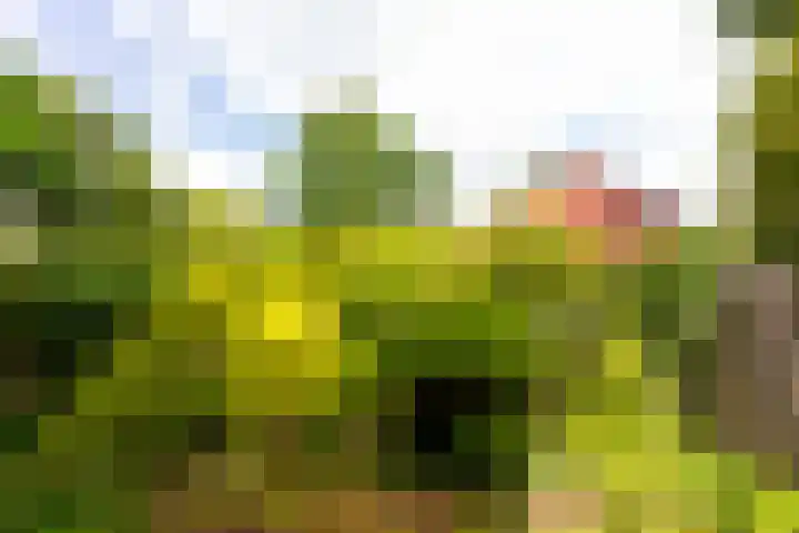 Grevengoedlaan 26 Doetinchem thumbnail 17