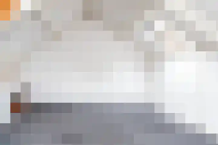 Grevengoedlaan 26 Doetinchem thumbnail 25