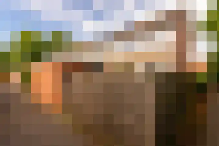 Grevengoedlaan 26 Doetinchem thumbnail 5