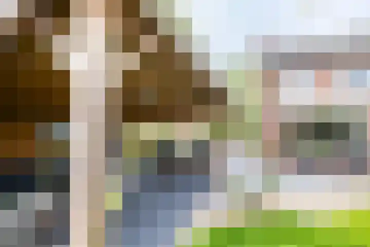 Grevengoedlaan 97 Doetinchem thumbnail 21