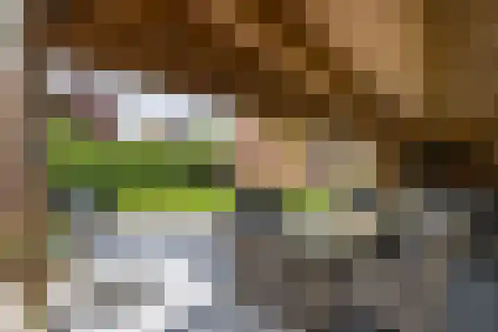 Grevengoedlaan 97 Doetinchem thumbnail 22