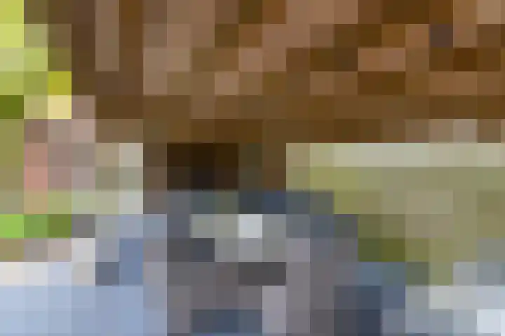 Grevengoedlaan 97 Doetinchem thumbnail 23