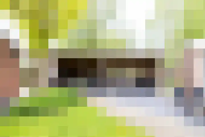 Grevengoedlaan 97 Doetinchem thumbnail 25