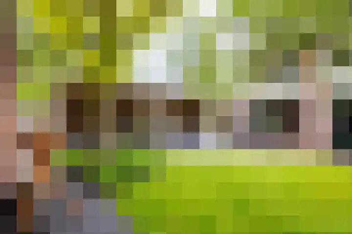 Grevengoedlaan 97 Doetinchem thumbnail 26