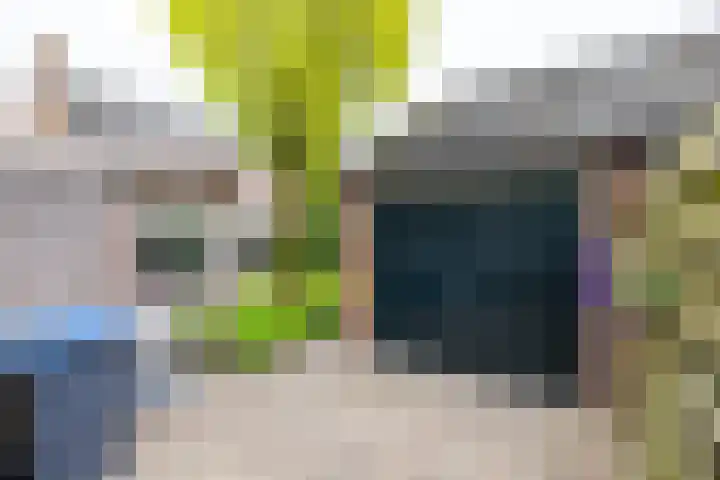 Grevengoedlaan 97 Doetinchem thumbnail 28
