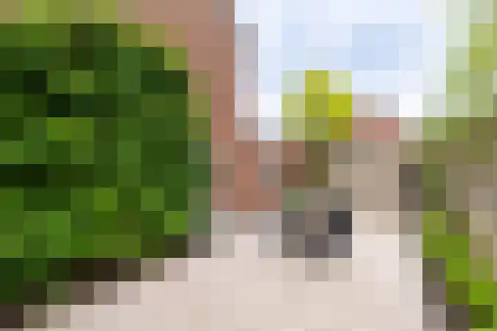 Grevengoedlaan 97 Doetinchem thumbnail 30