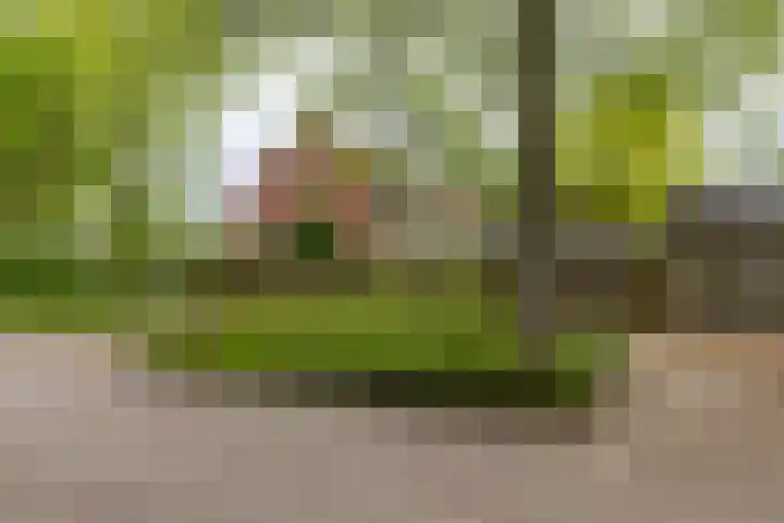 Grevengoedlaan 97 Doetinchem thumbnail 31
