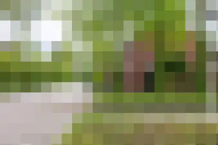 Grevengoedlaan 97 Doetinchem thumbnail 32