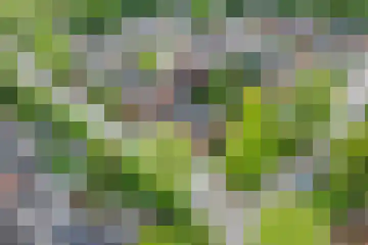 Grevengoedlaan 97 Doetinchem thumbnail 58