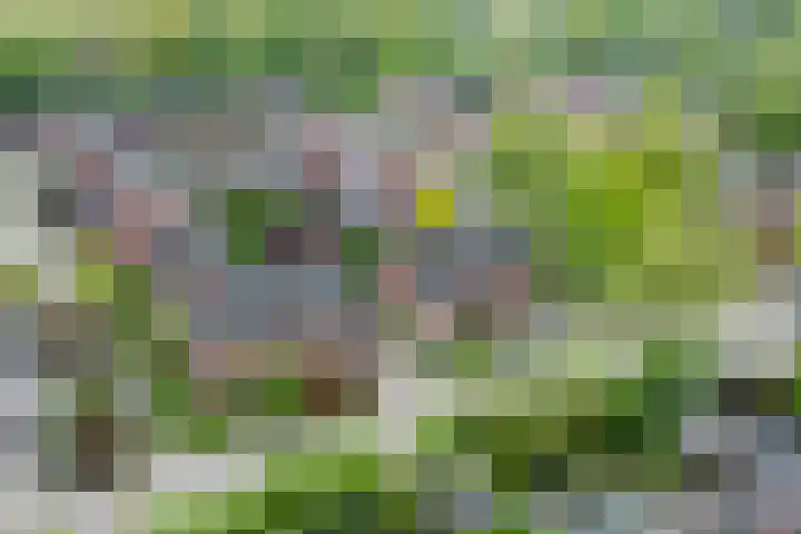 Grevengoedlaan 97 Doetinchem thumbnail 59