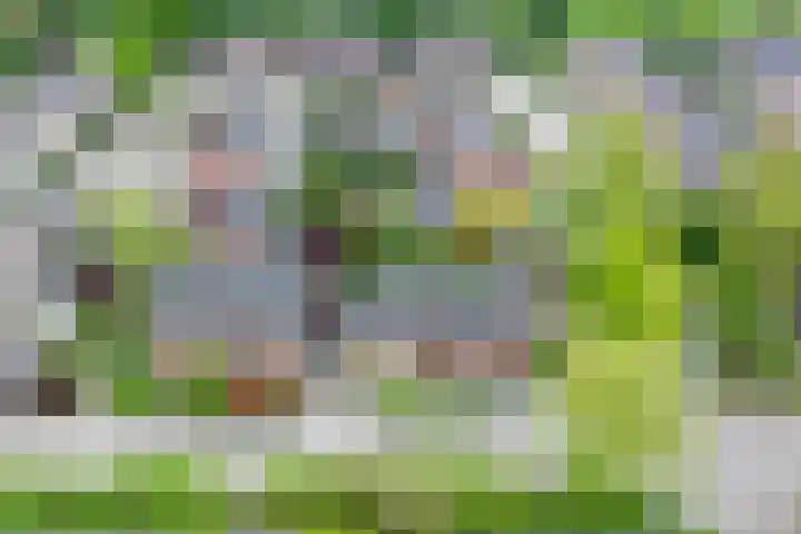 Grevengoedlaan 97 Doetinchem thumbnail 60