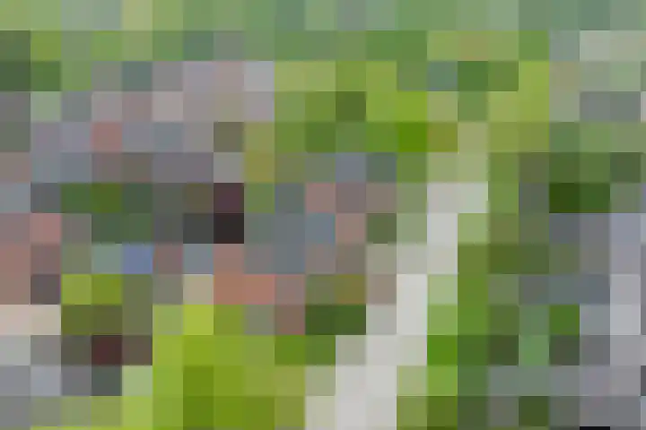 Grevengoedlaan 97 Doetinchem thumbnail 61