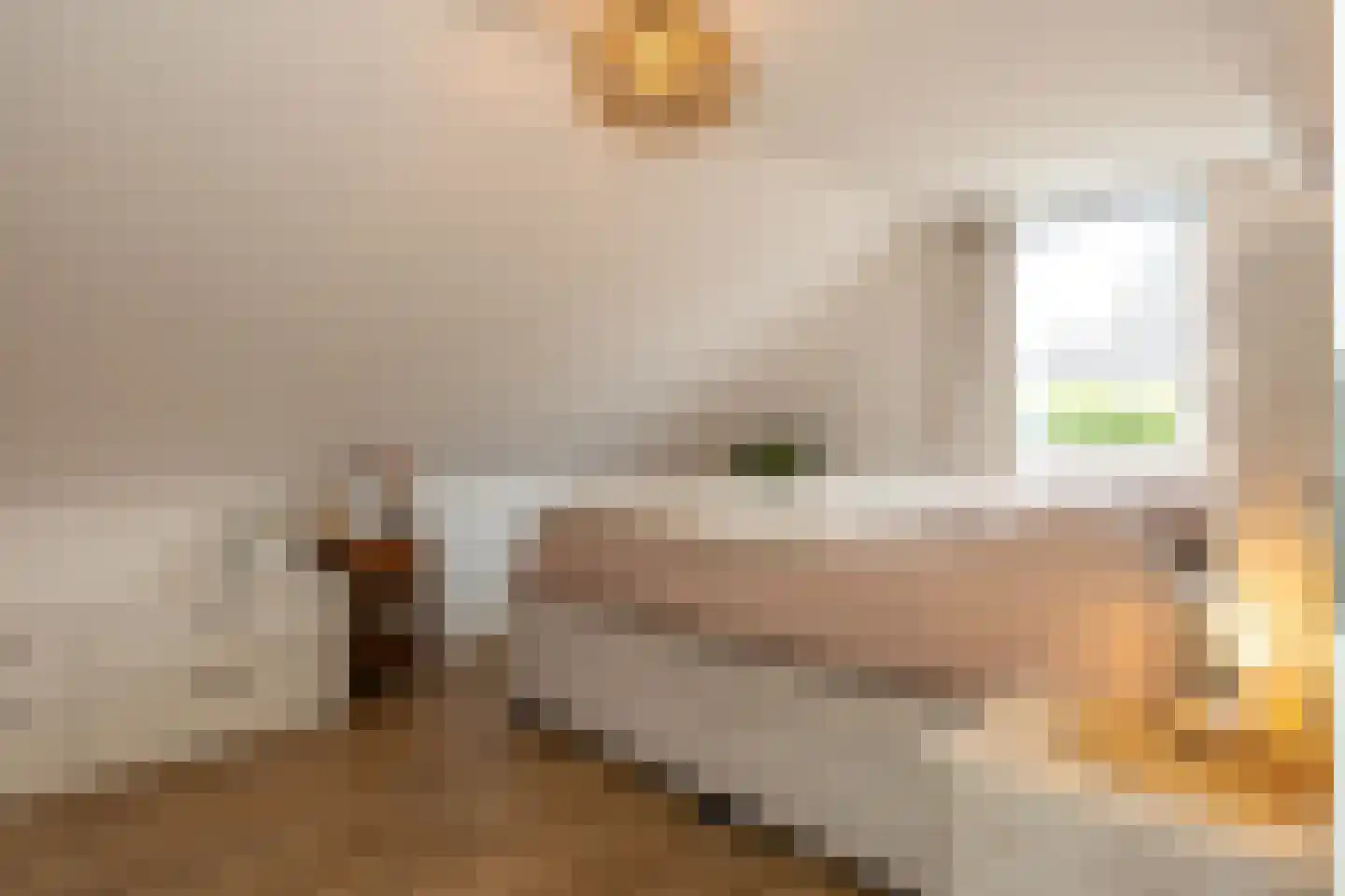 Grevenhoeve 1 Hattem thumbnail 27