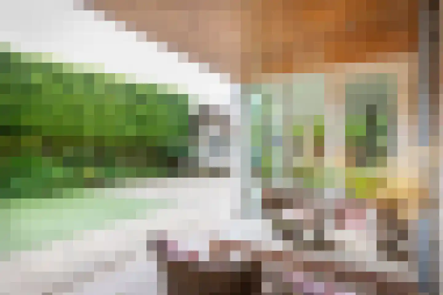 Grevenhoeve 1 Hattem thumbnail 45