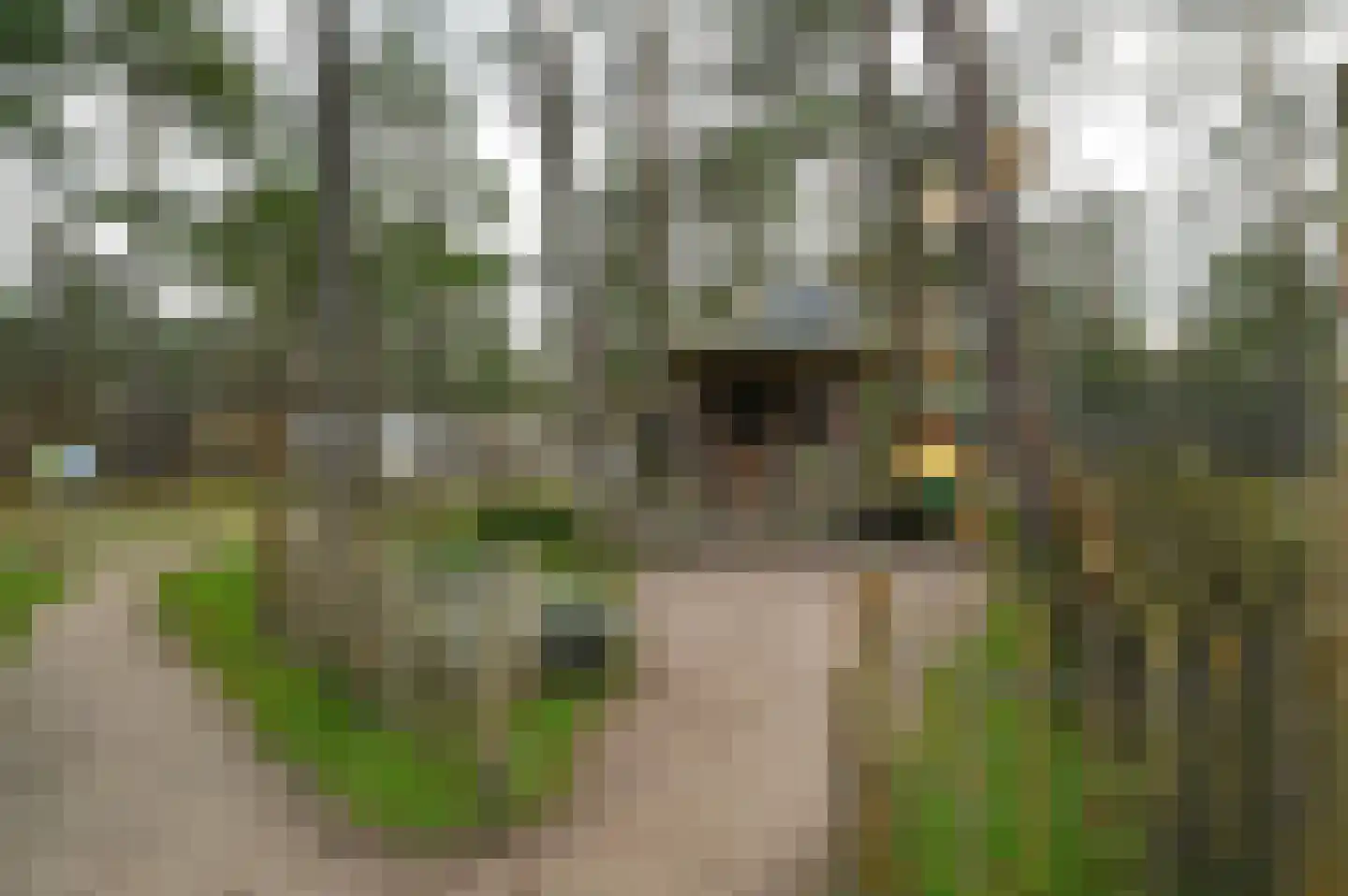Grevenhout 21 107 Uddel thumbnail 20