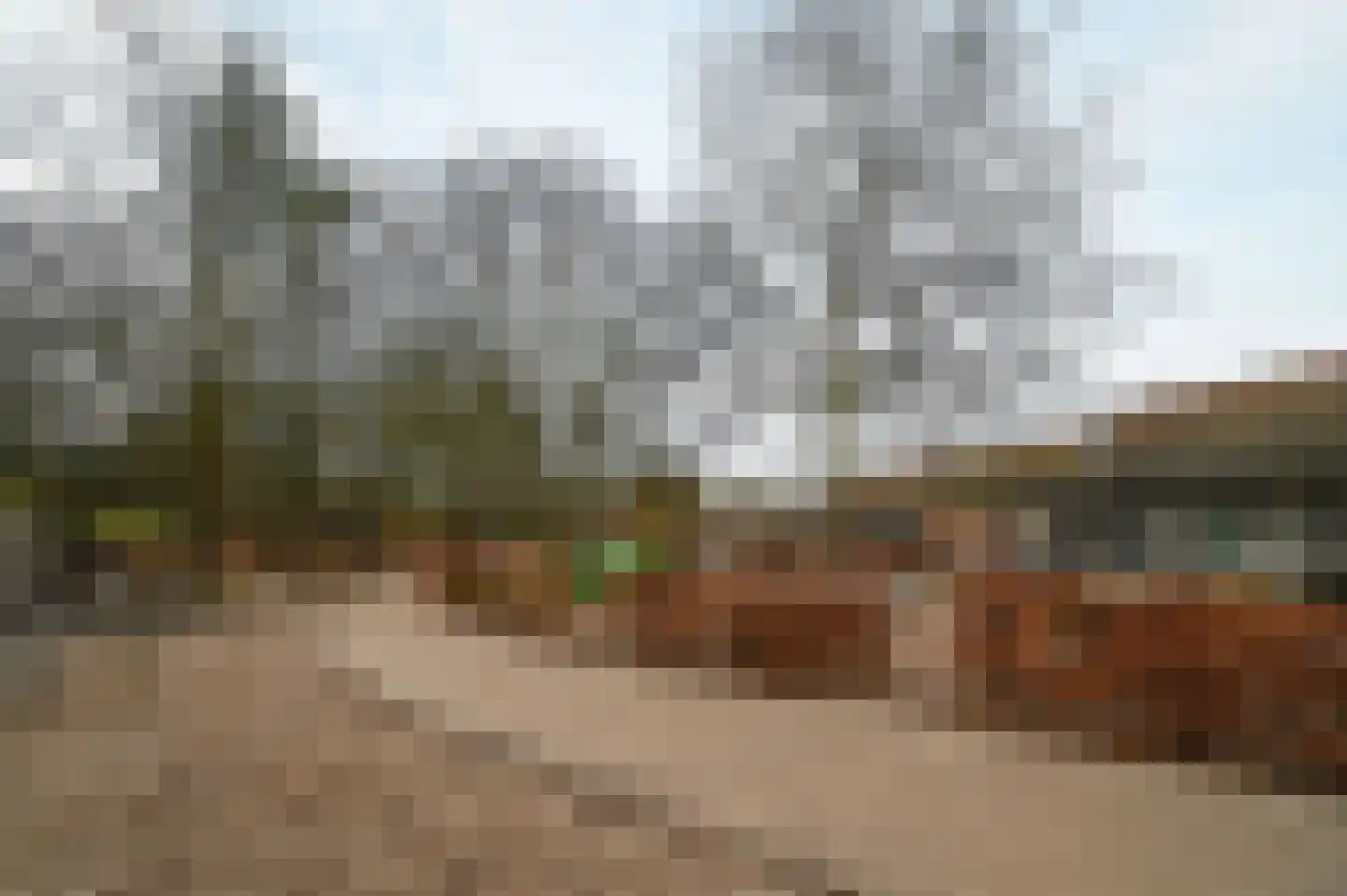 Grevenhout 21 107 Uddel thumbnail 21